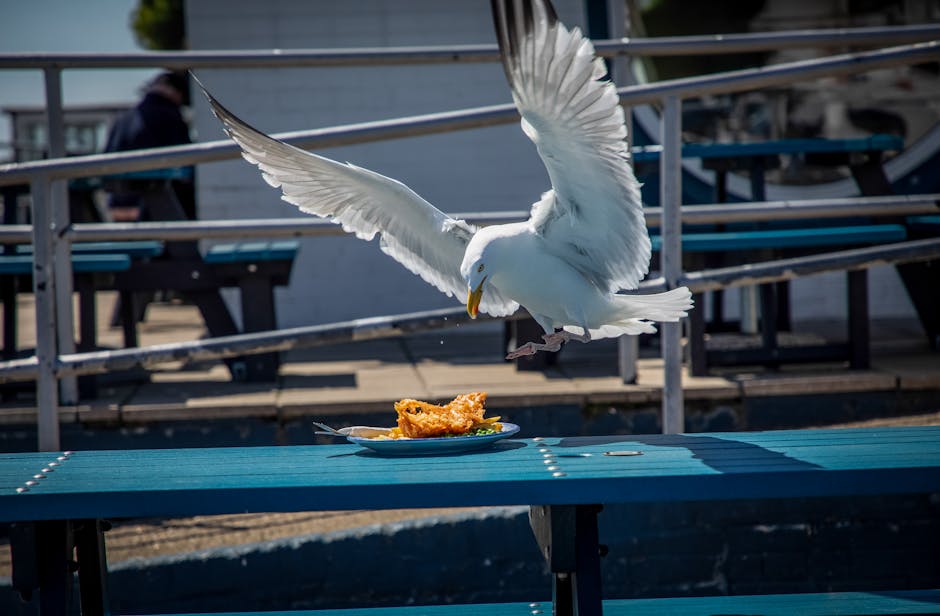 Fish and chips a Londra: storia, segreti e dove mangiarlo davvero